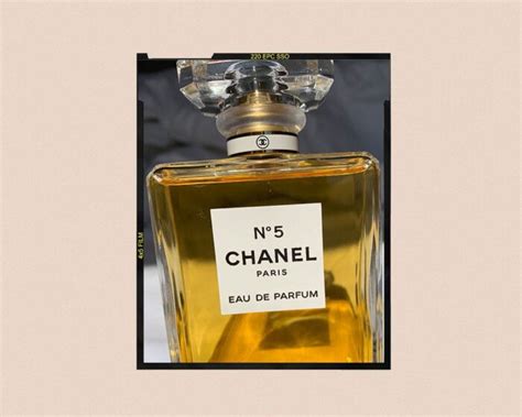 chanel n6|what does chanel no 5 smell like.